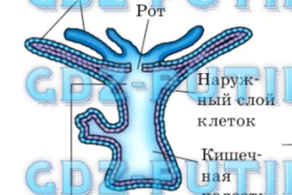 Кракен ссылка стор