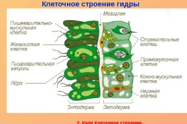 Kraken маркетплейс kr2web in