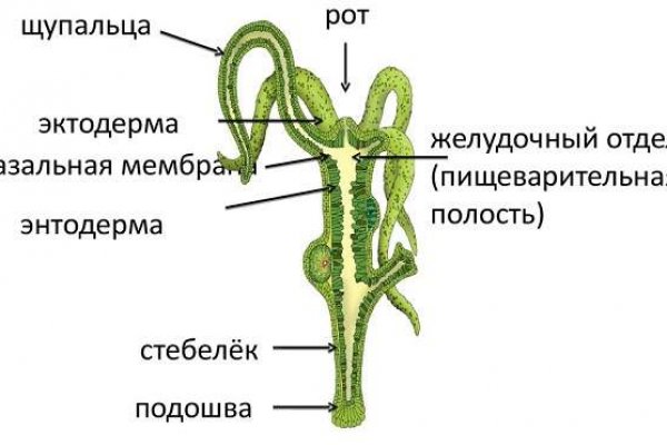 Кракен без тора