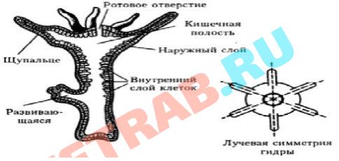 Как войти на сайт кракен